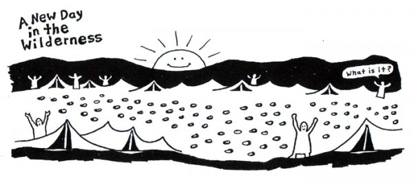 A new day in the wilderness